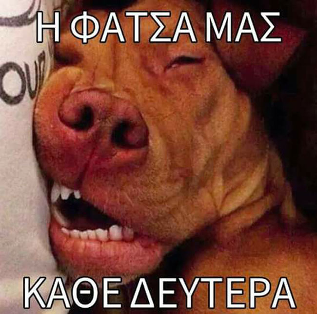 14670772_10207398097221951_2308843401282273191_n