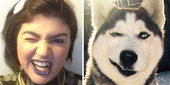 humans-look-like-dogs-doppelganger-you-are-dog-now-twitter-11-57a46aff74bc4__700