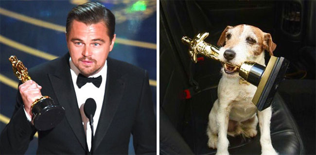 humans-look-like-dogs-doppelganger-you-are-dog-now-twitter-12-57a46b00dea04__700