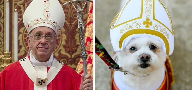 humans-look-like-dogs-doppelganger-you-are-dog-now-twitter-16-57a46b08468fd__700