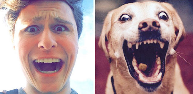 humans-look-like-dogs-doppelganger-you-are-dog-now-twitter-17-57a46b099efe1__700