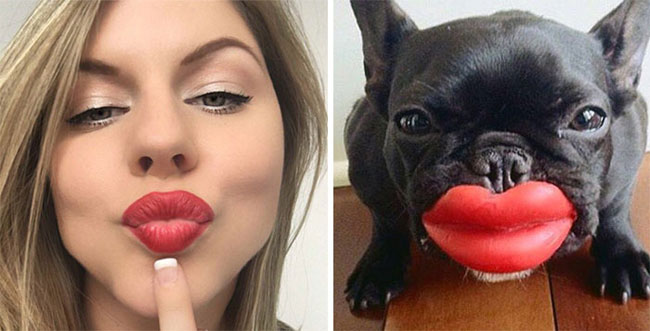 humans-look-like-dogs-doppelganger-you-are-dog-now-twitter-18-57a46b0b9e366__700