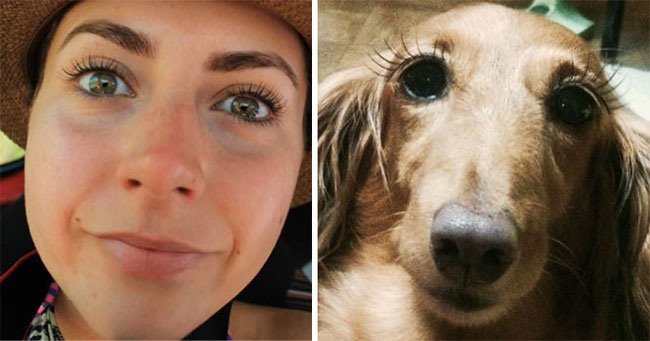 humans-look-like-dogs-doppelganger-you-are-dog-now-twitter-25-57a46b16861b4__700