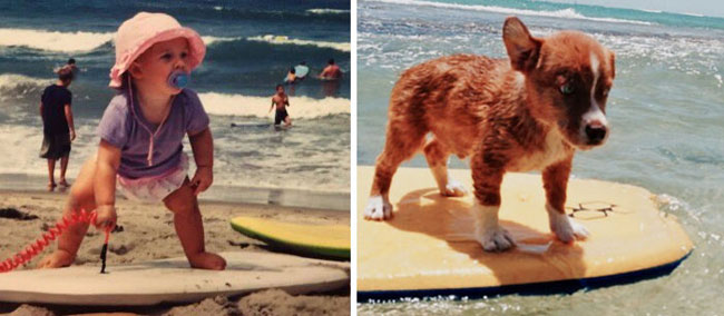 humans-look-like-dogs-doppelganger-you-are-dog-now-twitter-26-57a46b18147cc__700