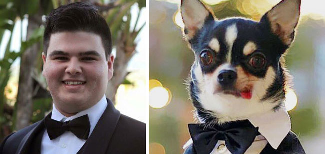 humans-look-like-dogs-doppelganger-you-are-dog-now-twitter-2-57a46aef8f1ec__700
