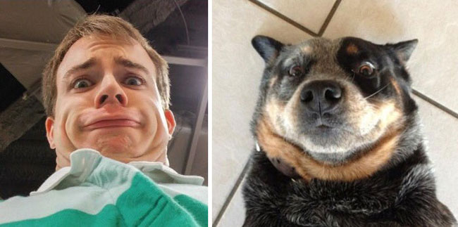 humans-look-like-dogs-doppelganger-you-are-dog-now-twitter-30-57a46b1ea37f2__700