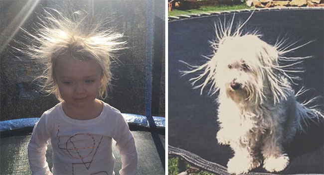 humans-look-like-dogs-doppelganger-you-are-dog-now-twitter-41-57a46b4a964ac__700