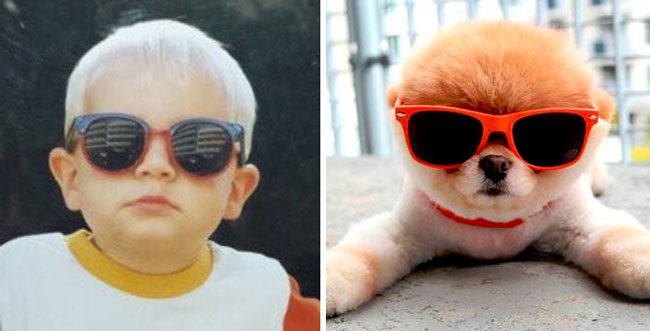 humans-look-like-dogs-doppelganger-you-are-dog-now-twitter-42-57a46b4e65b39__700