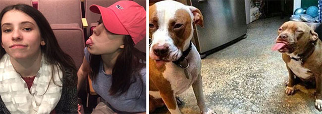 humans-look-like-dogs-doppelganger-you-are-dog-now-twitter-43-57a46b556eb9e__700