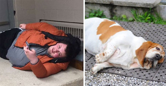 humans-look-like-dogs-doppelganger-you-are-dog-now-twitter-46-57a46b699c69a__700