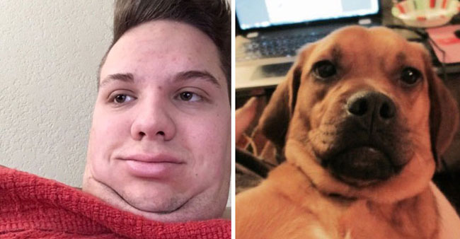 humans-look-like-dogs-doppelganger-you-are-dog-now-twitter-48-57a46b75cd267__700