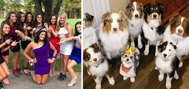 humans-look-like-dogs-doppelganger-you-are-dog-now-twitter-50-57a46b7e7251d__700