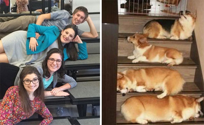 humans-look-like-dogs-doppelganger-you-are-dog-now-twitter-51-57a46b80b47f1__700