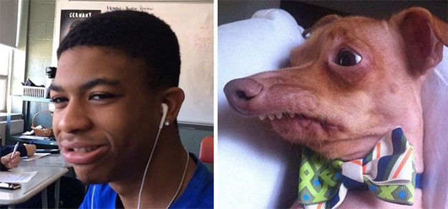 humans-look-like-dogs-doppelganger-you-are-dog-now-twitter-52-57a46b82a9894__700
