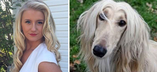 humans-look-like-dogs-doppelganger-you-are-dog-now-twitter-54-57a46b86dc42a__700
