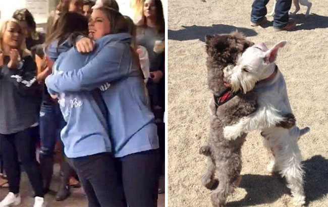 humans-look-like-dogs-doppelganger-you-are-dog-now-twitter-55-57a46b88cb6d4__700