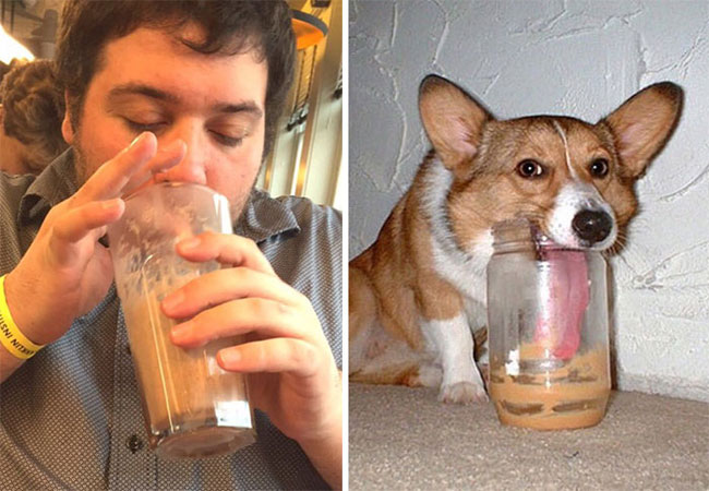 humans-look-like-dogs-doppelganger-you-are-dog-now-twitter-56-57a46b8aea7ea__700