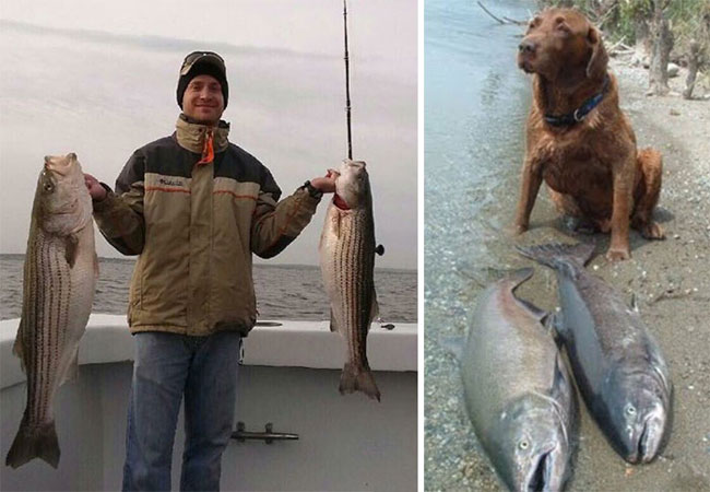 humans-look-like-dogs-doppelganger-you-are-dog-now-twitter-57-57a46b8dbb67c__700