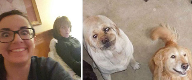humans-look-like-dogs-doppelganger-you-are-dog-now-twitter-58-57a46b8fae5c4__700