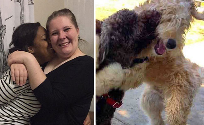 humans-look-like-dogs-doppelganger-you-are-dog-now-twitter-64-57a46b9cb9d14__700