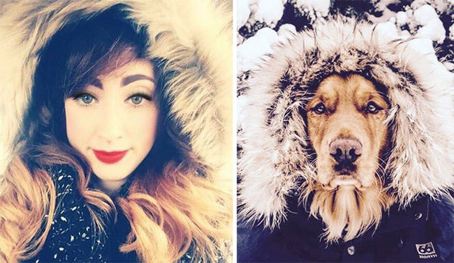 humans-look-like-dogs-doppelganger-you-are-dog-now-twitter-65-57a46b9ed6961__700