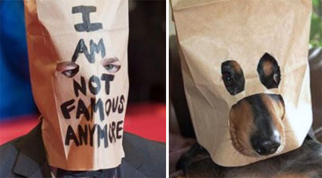 humans-look-like-dogs-doppelganger-you-are-dog-now-twitter-5-57a46af60dfbd__700