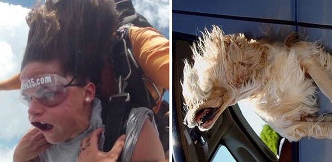 humans-look-like-dogs-doppelganger-you-are-dog-now-twitter-66-57a46ba1c107c__700