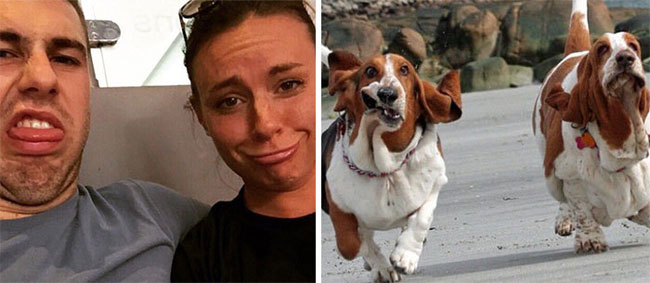 humans-look-like-dogs-doppelganger-you-are-dog-now-twitter-67-57a46ba3bf1ef__700