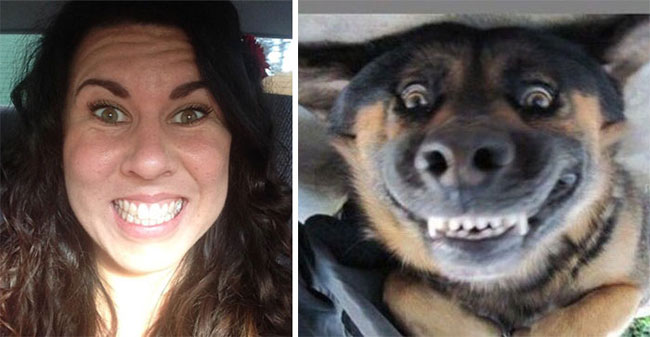 humans-look-like-dogs-doppelganger-you-are-dog-now-twitter-69-57a46ba8bb442__700
