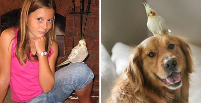 humans-look-like-dogs-doppelganger-you-are-dog-now-twitter-70-57a46baaafe94__700