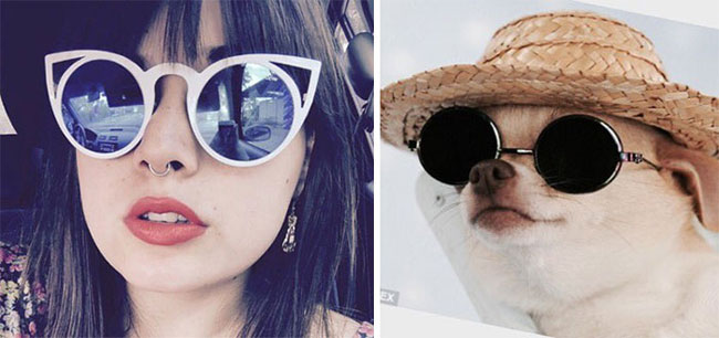 humans-look-like-dogs-doppelganger-you-are-dog-now-twitter-71-57a46bacacf3e__700