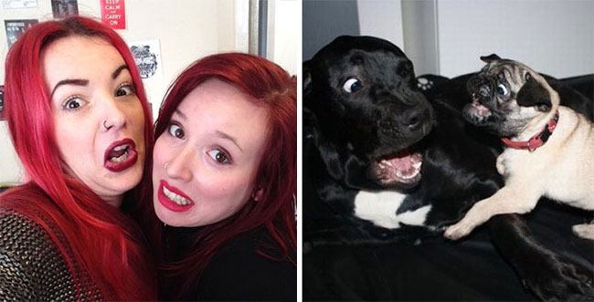 humans-look-like-dogs-doppelganger-you-are-dog-now-twitter-72-57a46baeac45c__700