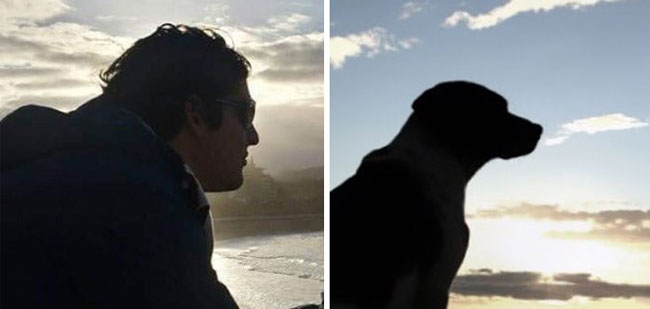 humans-look-like-dogs-doppelganger-you-are-dog-now-twitter-6-57a46af77feba__700