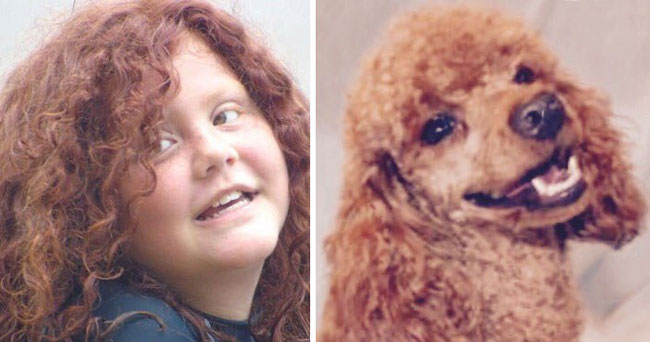 humans-look-like-dogs-doppelganger-you-are-dog-now-twitter-7-57a46af8dbbcf__700
