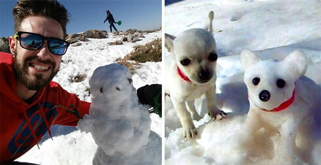 humans-look-like-dogs-doppelganger-you-are-dog-now-twitter-8-57a46afa846df__700