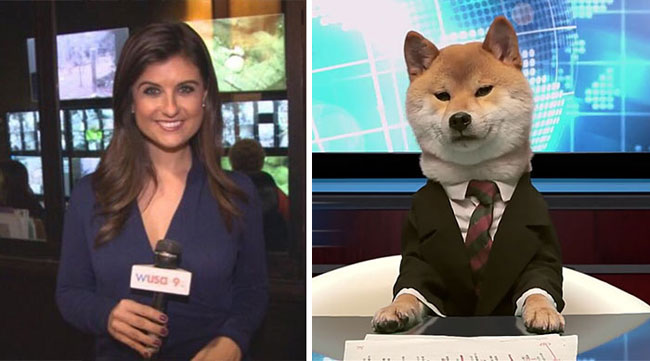 humans-look-like-dogs-doppelganger-you-are-dog-now-twitter-76-57a46bb6b2170__700