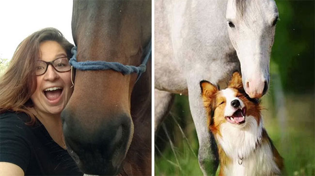 humans-look-like-dogs-doppelganger-you-are-dog-now-twitter-78-57a46bbaae782__700