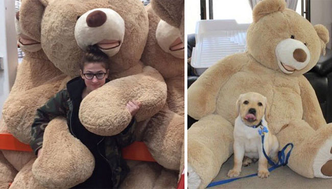 humans-look-like-dogs-doppelganger-you-are-dog-now-twitter-79-57a46bbcc0cf1__700