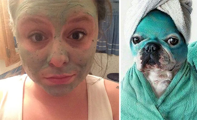 humans-look-like-dogs-doppelganger-you-are-dog-now-twitter-80-57a46bbec95a1__700