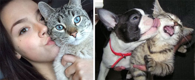 humans-look-like-dogs-doppelganger-you-are-dog-now-twitter-81-57a46bd52a133__700