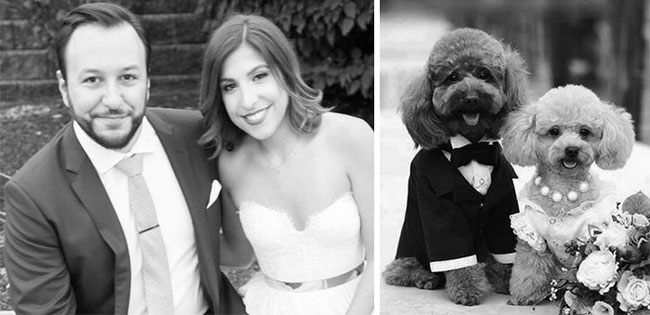 humans-look-like-dogs-doppelganger-you-are-dog-now-twitter-82-57a46bd693c34__700