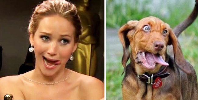 humans-look-like-dogs-doppelganger-you-are-dog-now-twitter-83-57a46bd80d15b__700