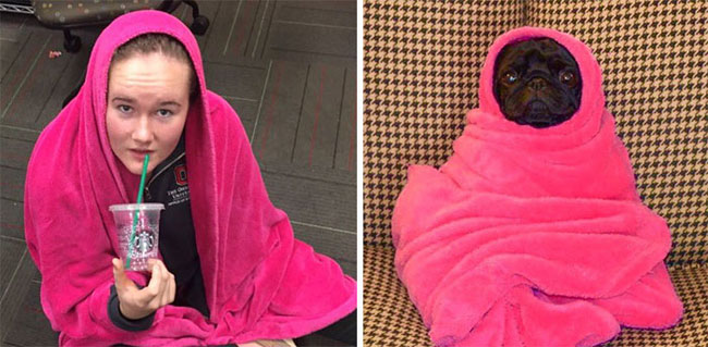 humans-look-like-dogs-doppelganger-you-are-dog-now-twitter-84-57a46bd9b393f__700