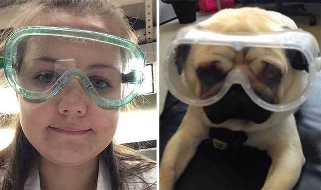 humans-look-like-dogs-doppelganger-you-are-dog-now-twitter-86-57a46bdc951f0__700