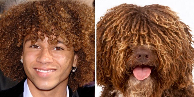 humans-look-like-dogs-doppelganger-you-are-dog-now-twitter-89-57a46be1a342a__700