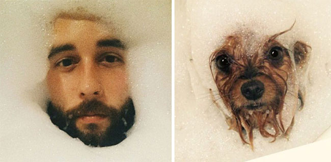 humans-look-like-dogs-doppelganger-you-are-dog-now-twitter-91-57a46be65d509__700