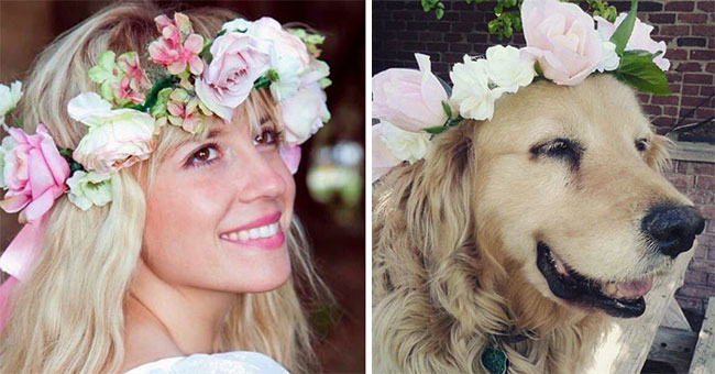 humans-look-like-dogs-doppelganger-you-are-dog-now-twitter-92-57a46be81bfa2__700