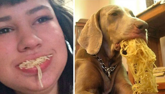 humans-look-like-dogs-doppelganger-you-are-dog-now-twitter-93-57a46bea4dba3__700