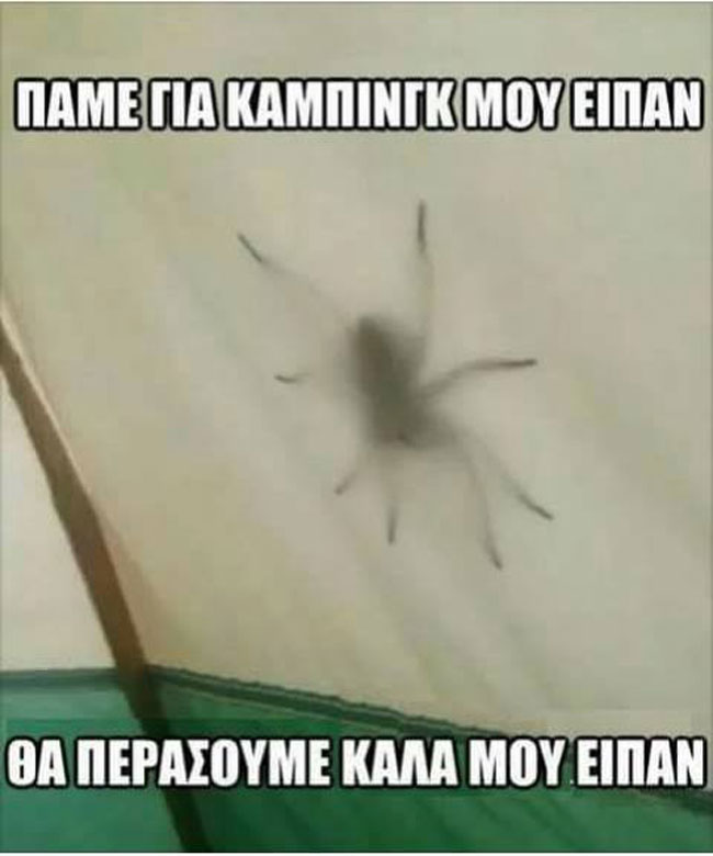 13599817_555931961256180_5798769190215190653_n