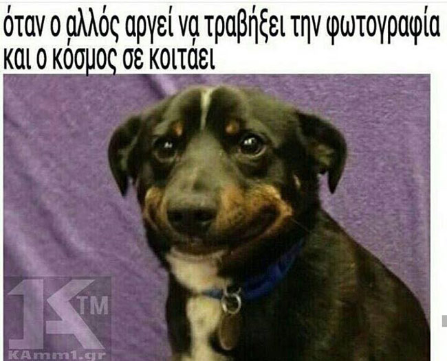 13669217_10154260519015446_6463114881048496304_n